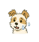 顔で語る犬さま②（個別スタンプ：17）