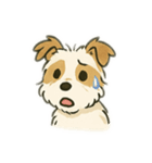 顔で語る犬さま②（個別スタンプ：18）