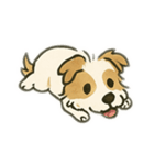 顔で語る犬さま②（個別スタンプ：22）