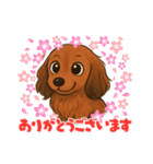 『ミニチュアダックス』のスタンプ①（個別スタンプ：3）