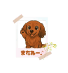 『ミニチュアダックス』のスタンプ①（個別スタンプ：8）