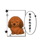 『ミニチュアダックス』のスタンプ①（個別スタンプ：12）