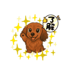 『ミニチュアダックス』のスタンプ①（個別スタンプ：21）