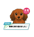 『ミニチュアダックス』のスタンプ①（個別スタンプ：22）