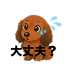 『ミニチュアダックス』のスタンプ①（個別スタンプ：29）