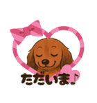 『ミニチュアダックス』のスタンプ①（個別スタンプ：31）