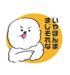 関西弁のビションフリーゼ（個別スタンプ：8）