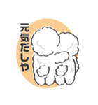 関西弁のビションフリーゼ（個別スタンプ：11）