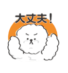 関西弁のビションフリーゼ（個別スタンプ：12）