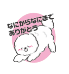 関西弁のビションフリーゼ（個別スタンプ：19）