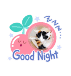 一言で伝わる猫スタンプ・その1（個別スタンプ：8）