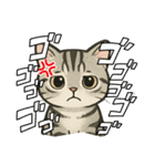 『アメリカンショートヘアー』猫のスタンプ（個別スタンプ：2）