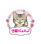 『アメリカンショートヘアー』猫のスタンプ（個別スタンプ：3）