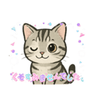 『アメリカンショートヘアー』猫のスタンプ（個別スタンプ：4）