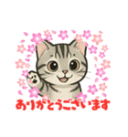 『アメリカンショートヘアー』猫のスタンプ（個別スタンプ：5）