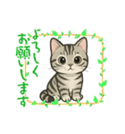 『アメリカンショートヘアー』猫のスタンプ（個別スタンプ：6）