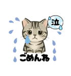 『アメリカンショートヘアー』猫のスタンプ（個別スタンプ：7）