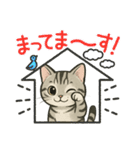 『アメリカンショートヘアー』猫のスタンプ（個別スタンプ：9）