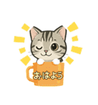 『アメリカンショートヘアー』猫のスタンプ（個別スタンプ：17）