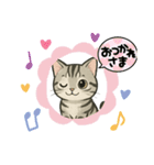 『アメリカンショートヘアー』猫のスタンプ（個別スタンプ：21）