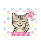 『アメリカンショートヘアー』猫のスタンプ（個別スタンプ：24）