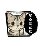 『アメリカンショートヘアー』猫のスタンプ（個別スタンプ：25）