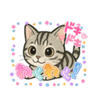 『アメリカンショートヘアー』猫のスタンプ（個別スタンプ：26）