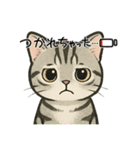 『アメリカンショートヘアー』猫のスタンプ（個別スタンプ：27）
