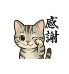 『アメリカンショートヘアー』猫のスタンプ（個別スタンプ：28）