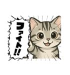 『アメリカンショートヘアー』猫のスタンプ（個別スタンプ：30）