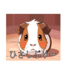 モルモットがいっぱい（個別スタンプ：9）