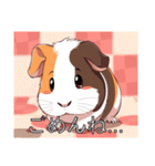 モルモットがいっぱい（個別スタンプ：11）