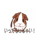 モルモットがいっぱい（個別スタンプ：15）