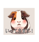 モルモットがいっぱい（個別スタンプ：16）