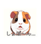 モルモットがいっぱい（個別スタンプ：27）