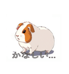 モルモットがいっぱい（個別スタンプ：28）
