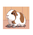 モルモットがいっぱい（個別スタンプ：36）