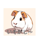 モルモットがいっぱい（個別スタンプ：40）