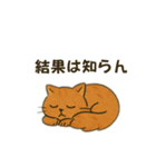 毒舌ねこさん、今日も平常運転です。（個別スタンプ：16）