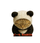 パンダの着ぐるみを着たネコ（個別スタンプ：1）