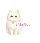 可愛い奥さま日常スタンプ（個別スタンプ：16）