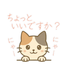 敬語の三毛猫スタンプ（個別スタンプ：13）