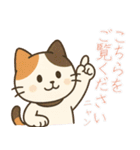 敬語の三毛猫スタンプ（個別スタンプ：19）