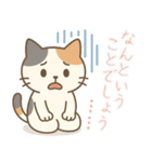 敬語の三毛猫スタンプ（個別スタンプ：40）