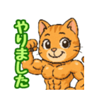 敬語で筋肉猫のキュートなマッスルキャット（個別スタンプ：1）