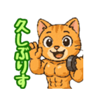 敬語で筋肉猫のキュートなマッスルキャット（個別スタンプ：3）