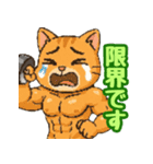 敬語で筋肉猫のキュートなマッスルキャット（個別スタンプ：4）