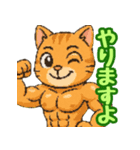 敬語で筋肉猫のキュートなマッスルキャット（個別スタンプ：5）