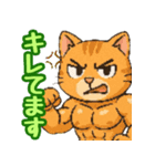 敬語で筋肉猫のキュートなマッスルキャット（個別スタンプ：6）