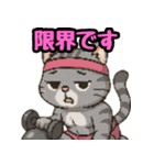 敬語で筋肉猫のキュートなマッスルキャット（個別スタンプ：10）
